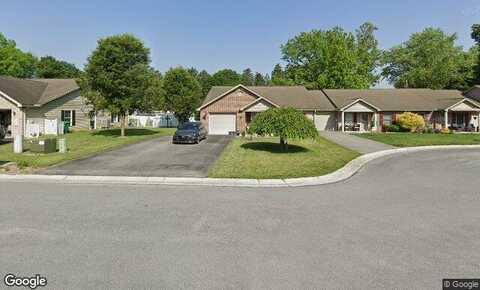 Ginkgo, CHAMBERSBURG, PA 17201