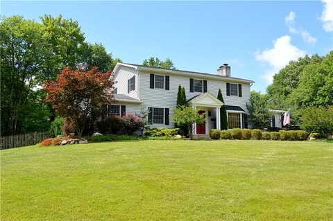 Scott, HERMITAGE, PA 16148