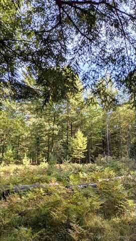 Cth N, Rhinelander, WI 54501