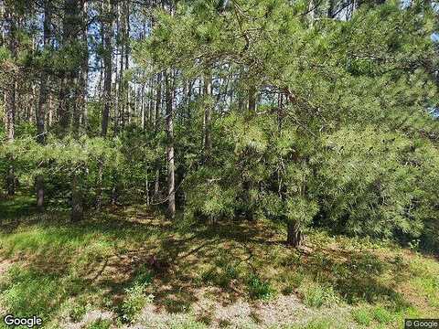 Plantation, PELICAN LAKE, WI 54463