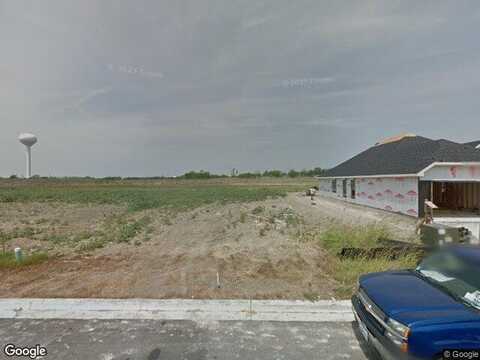 Snow Owl, BUDA, TX 78610