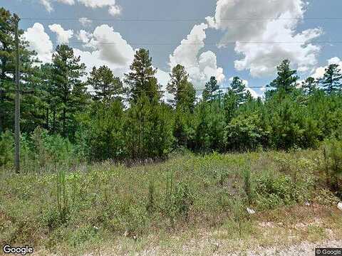 Ellis, HOGANSVILLE, GA 30230