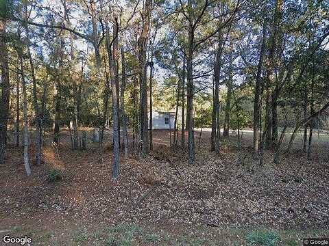Ga Highway 119, CLYO, GA 31303
