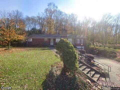 Maple, EAST BRADY, PA 16028