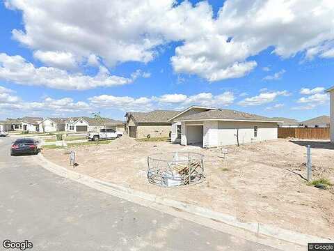 Ocelot, BROWNSVILLE, TX 78526