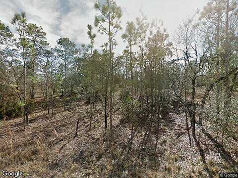 Se 20Th Street, Morriston, FL 32668