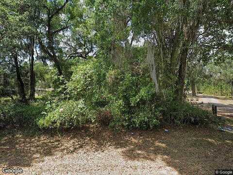 Cr 437, LAKE PANASOFFKEE, FL 33538