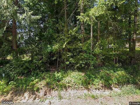 E Ashwood Lane, Shelton, WA 98584