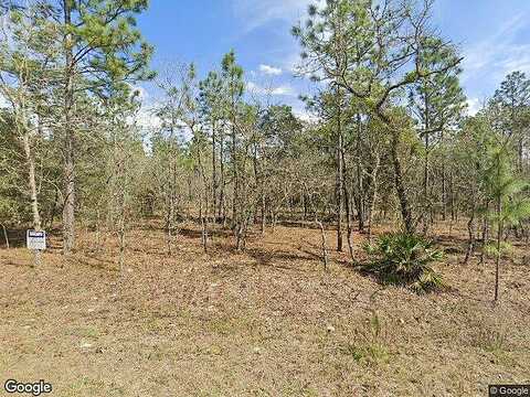 Sw 138Th Terrace, Dunnellon, FL 34432