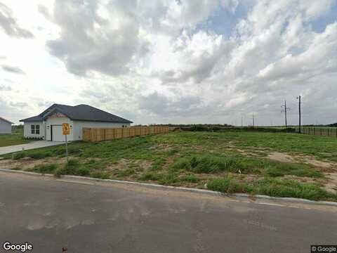N Baylie Bear Drive, Edinburg, TX 78541