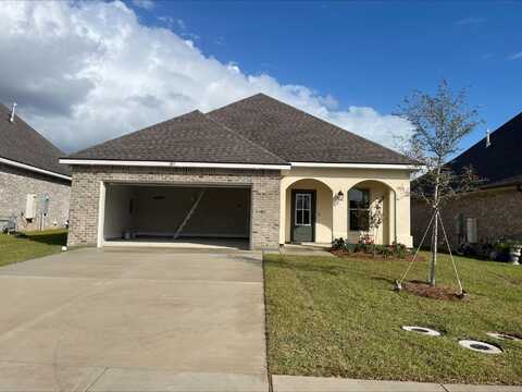 Hydrangea Boulevard, Freeport, FL 32439