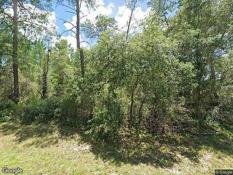 Sw 29Th Terrace Road, Ocala, FL 34473