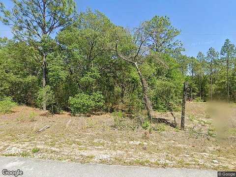 Sw 202Nd Court, Dunnellon, FL 34431