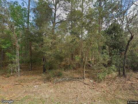 Sw 129Th Terrace Road, Dunnellon, FL 34432