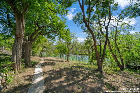 Chinaberry, NEW BRAUNFELS, TX 78130