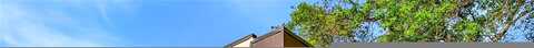 Raintree Lake Lane, Temple Terrace, FL 33617