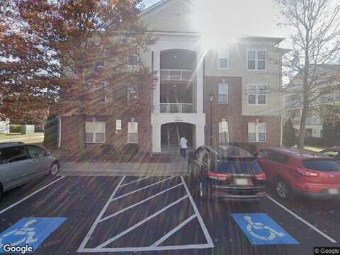 Blue Elder Terrace, Brambleton, VA 20148