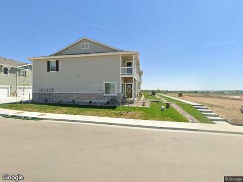 Robin, JOHNSTOWN, CO 80534