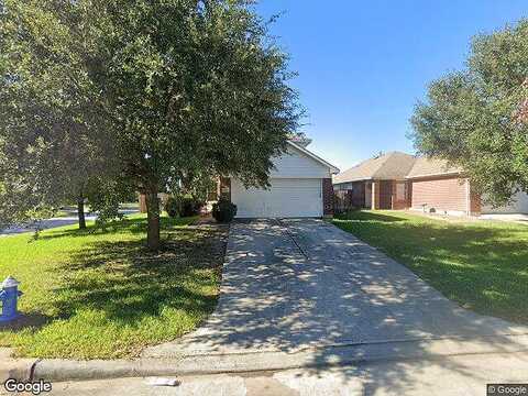 Yucca Tip, HOUSTON, TX 77073