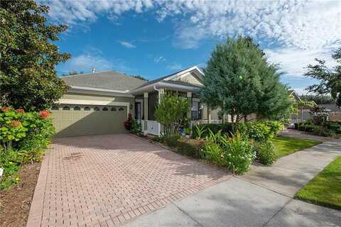 Crepe Myrtle, GROVELAND, FL 34736