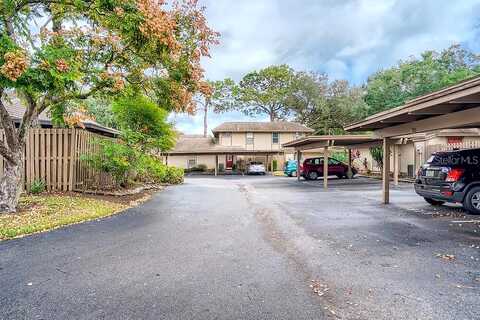 Buck, BRANDON, FL 33511