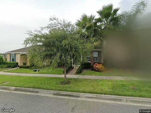 Wood Sage, WINTER GARDEN, FL 34787