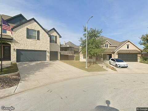 Coreopsis, SAN ANTONIO, TX 78261