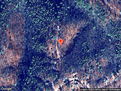 Tallow Tree, CONNELLY SPRINGS, NC 28612