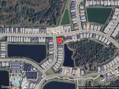 Royal Tern, ENGLEWOOD, FL 34223