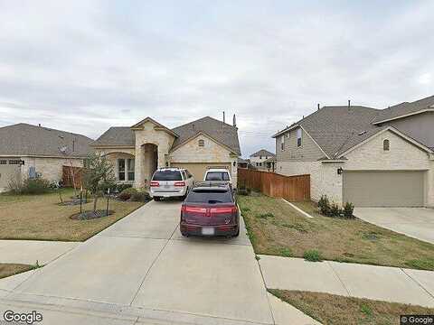 Blue Waterleaf, GEORGETOWN, TX 78626