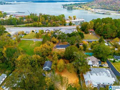 Perry, GUNTERSVILLE, AL 35976