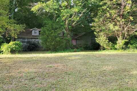 Buck Creek, HAWKINSVILLE, GA 31036