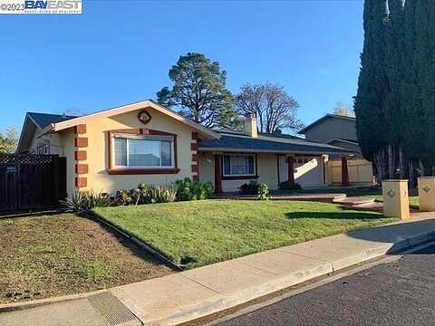 Mossy, CONCORD, CA 94521