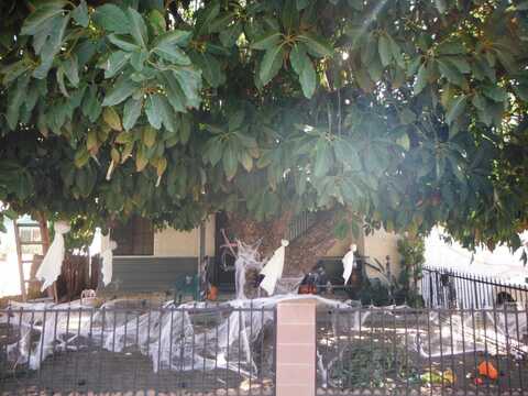 League, LA PUENTE, CA 91744