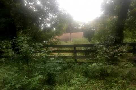Spaniel, INVERNESS, FL 34450