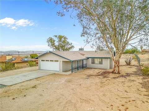 Alfalfa, TWENTYNINE PALMS, CA 92277
