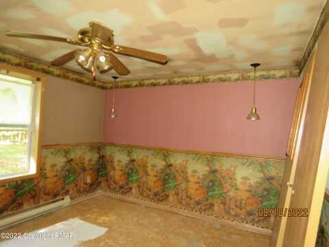 Sassafras, ALBRIGHTSVILLE, PA 18210