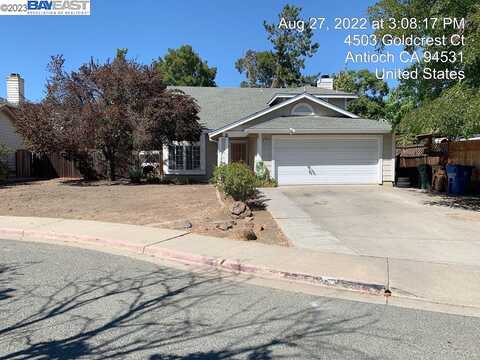 Goldcrest, ANTIOCH, CA 94531