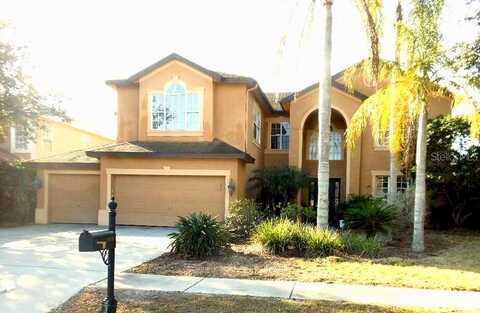 Moreno, PALM HARBOR, FL 34685