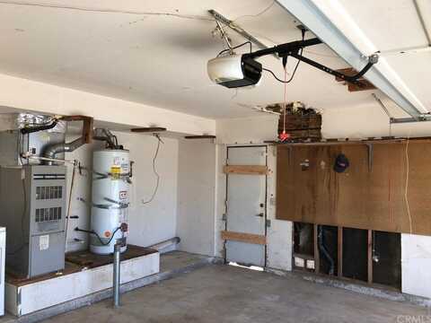Ficus, MORENO VALLEY, CA 92557
