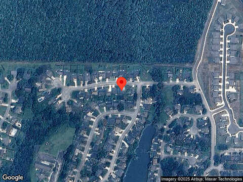 Turtle, CARROLLTON, GA 30116