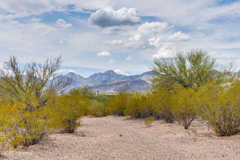 Wendell, TUCSON, AZ 85749