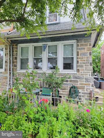 Holly, LANSDOWNE, PA 19050