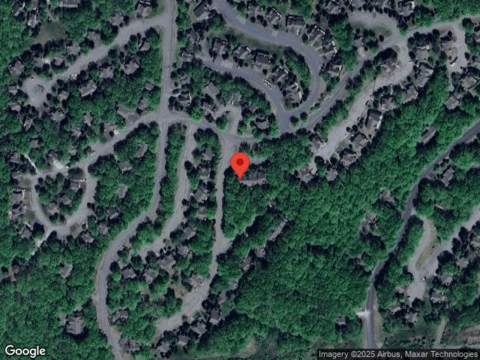 Birch, TANNERSVILLE, PA 18372