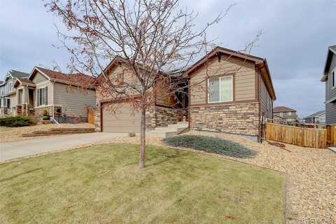 Bandit, CASTLE ROCK, CO 80108