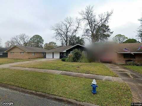Ariel, HOUSTON, TX 77074