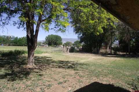 Veinte, DELTA, CO 81416