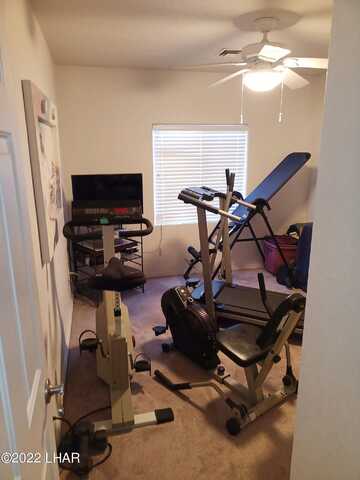 Rover, LAKE HAVASU CITY, AZ 86403