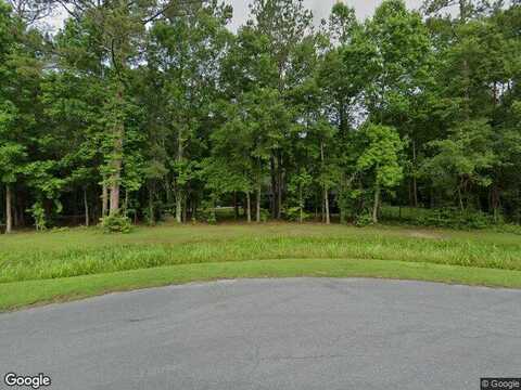 Viburnum, TALLAHASSEE, FL 32312