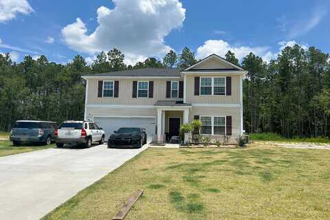 Summerhill, LUDOWICI, GA 31316